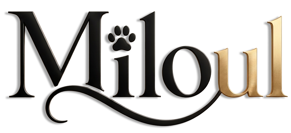 Store logo